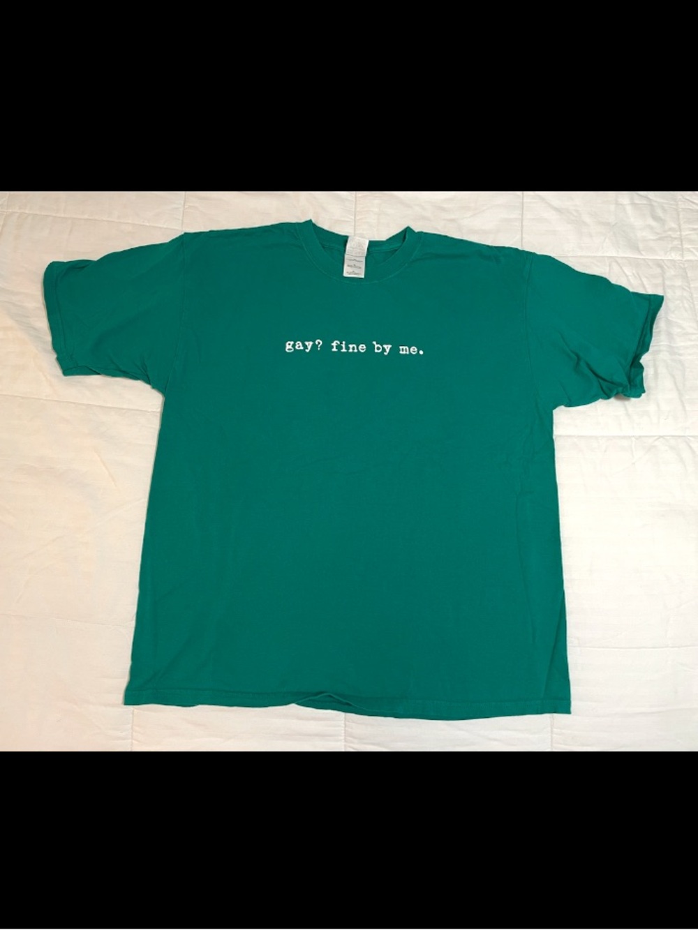 Vintage Y2k “Gay? Fine By Me” Comedy Humor Novelty Green T Shirt XL 2000s EUC
